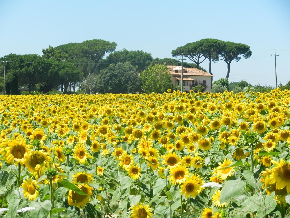 Boschetto Del Lago Castiglione del Lago Extérieur photo